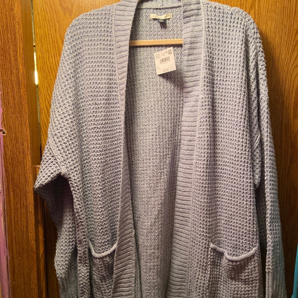 American Eagle Cardigan